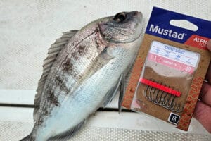 Les hameçons Mustad Chinu Light sont parfaits pour la dorade