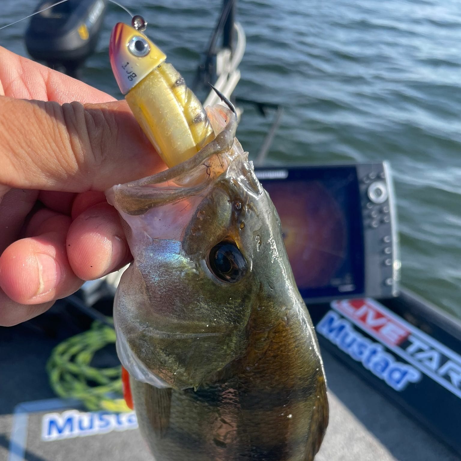 Pêche de la perche au Kerhy Fat 90mm