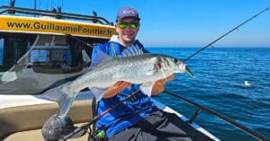 Bar pris sur une canne Sang-Eo et un leurre souple KerHy Fat