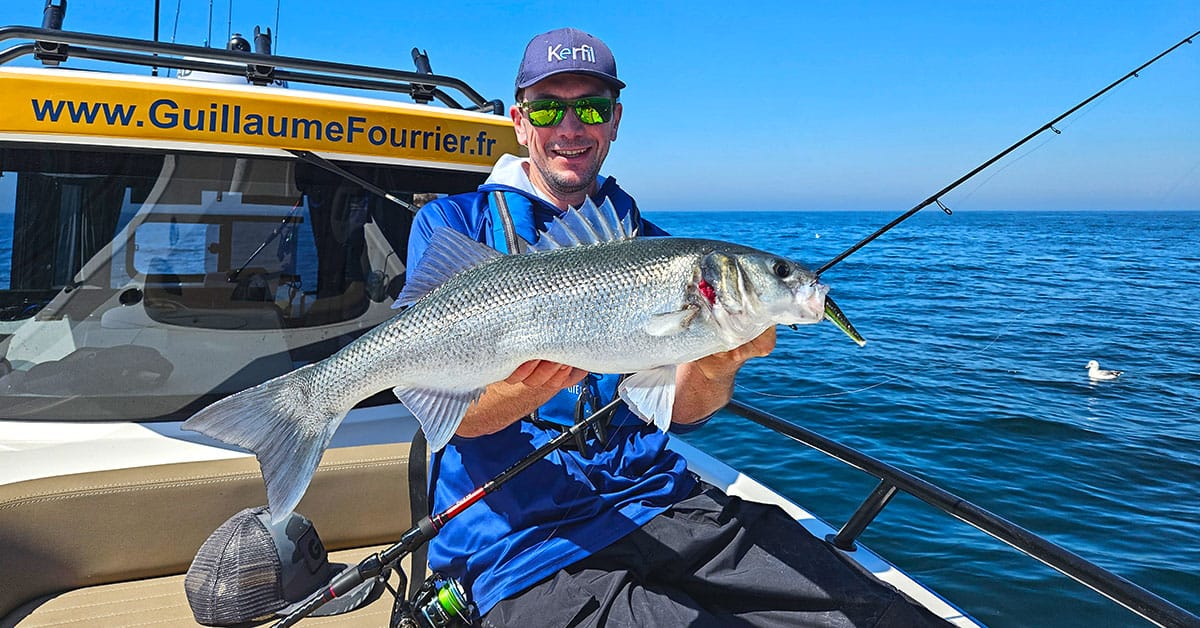 Bar pris sur une canne Sang-Eo et un leurre souple KerHy Fat