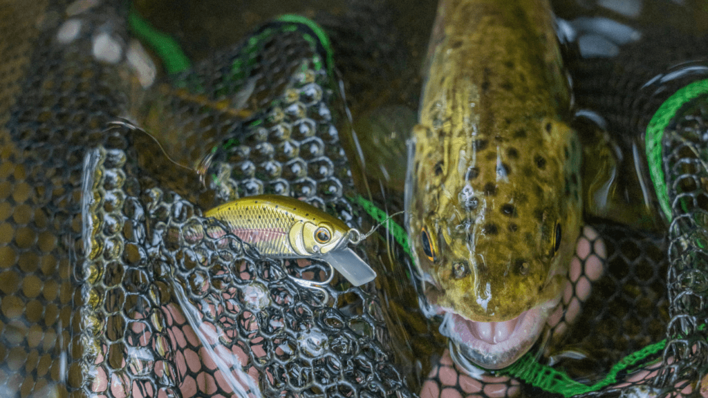 Yuzuki Mustad Fishing - Poisson nageur pour pêcher la truite